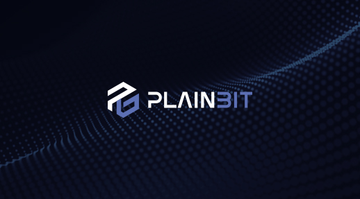 플레인비트