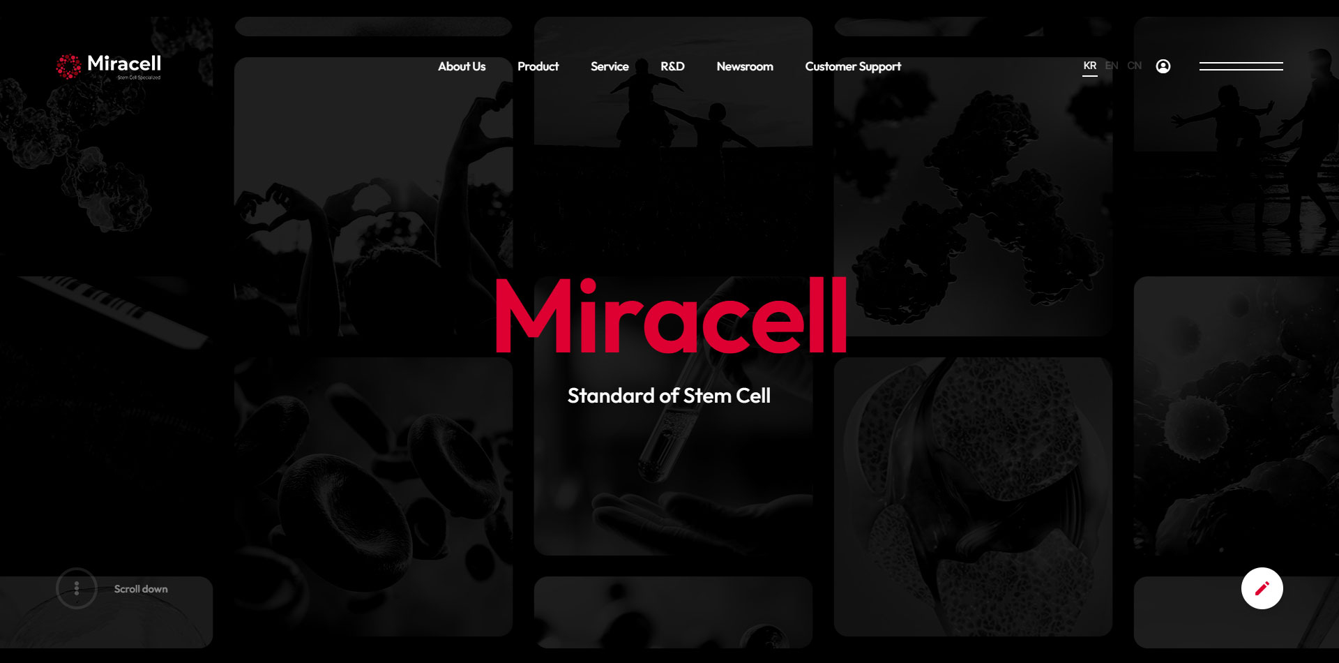 "미라셀" GDWEB WINNER PRIZE 수상